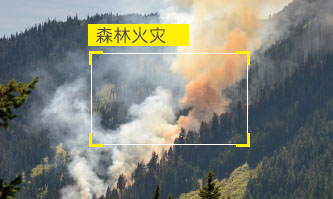 目標存在性識別